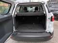 Ford EcoSport 1000 ECOBOOST PLUS 100CV CARPLAY PDC BARRE ITALIA Weiß - thumbnail 13