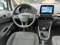 Ford EcoSport 1000 ECOBOOST PLUS 100CV CARPLAY PDC BARRE ITALIA Weiß - thumbnail 11