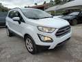Ford EcoSport 1000 ECOBOOST PLUS 100CV CARPLAY PDC BARRE ITALIA Weiß - thumbnail 1