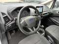 Ford EcoSport 1000 ECOBOOST PLUS 100CV CARPLAY PDC BARRE ITALIA Weiß - thumbnail 10
