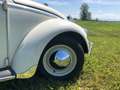 Volkswagen Käfer 1200 Export (Motorumbau) Blanco - thumbnail 4