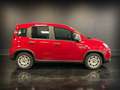 Fiat Panda 1.0 FireFly S&S Hybrid Rouge - thumbnail 4