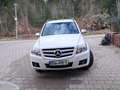 Mercedes-Benz GLK 220 CDI DPF BlueEFFICIENCY Weiß - thumbnail 4