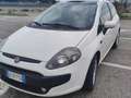 Fiat Punto Evo 3p 1.4 Dynamic s&s 77cv Weiß - thumbnail 4