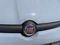 Fiat Panda Panda 1.2 Easy Gris - thumbnail 14