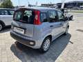 Fiat Panda Panda 1.2 Easy Gris - thumbnail 4