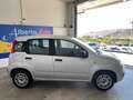 Fiat Panda 1.2 Easy Argento - thumbnail 3