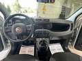 Fiat Panda 1.2 Easy Argento - thumbnail 11