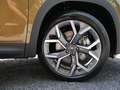Skoda Kodiaq Selection 2.0 TDI 4x4 AHK PANO LEDER Bronze - thumbnail 5