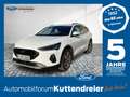 Ford Focus Turnier Active Hybrid LED, Navi, Head Up Blanc - thumbnail 1