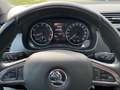 Skoda Fabia Joy 1.2 TSI Green tec TEMP PDC SHZ DAB Nero - thumbnail 12