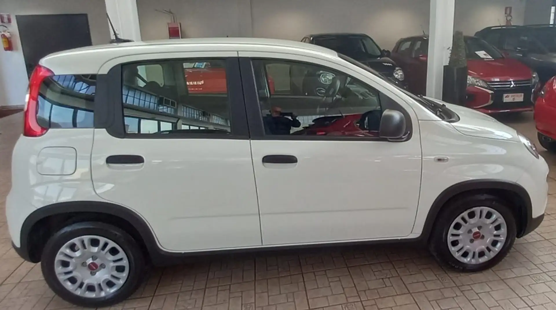 Fiat Panda 1.0 FireFly S&S Hybrid Bianco - 2