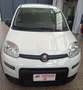 Fiat Panda 1.0 FireFly S&S Hybrid Bianco - thumbnail 1