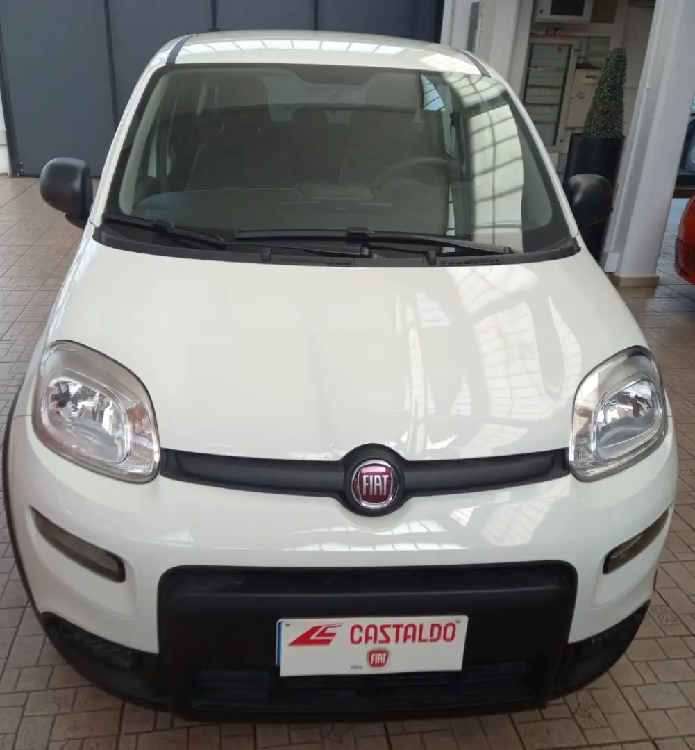 Fiat Panda 1.0 FireFly S&S Hybrid Bianco - 1