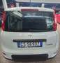 Fiat Panda 1.0 FireFly S&S Hybrid Bianco - thumbnail 3