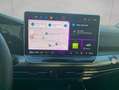 Volkswagen Golf Golf 1.5 eTSI DSG Style LED Pano Weiß - thumbnail 9