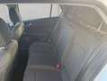 Volkswagen Golf Golf 1.5 eTSI DSG Style LED Pano Weiß - thumbnail 11
