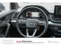 Audi Q5 50 TDI quattro Black-Paket-Plus LED Navi uvm Blau - thumbnail 18