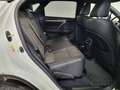 Lexus RX 350 Hybrid F Sport Blanco - thumbnail 13