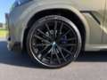BMW X6 xDrive30d 48V Aut. *VOLLAUSSTATTUNG* Grün - thumbnail 32
