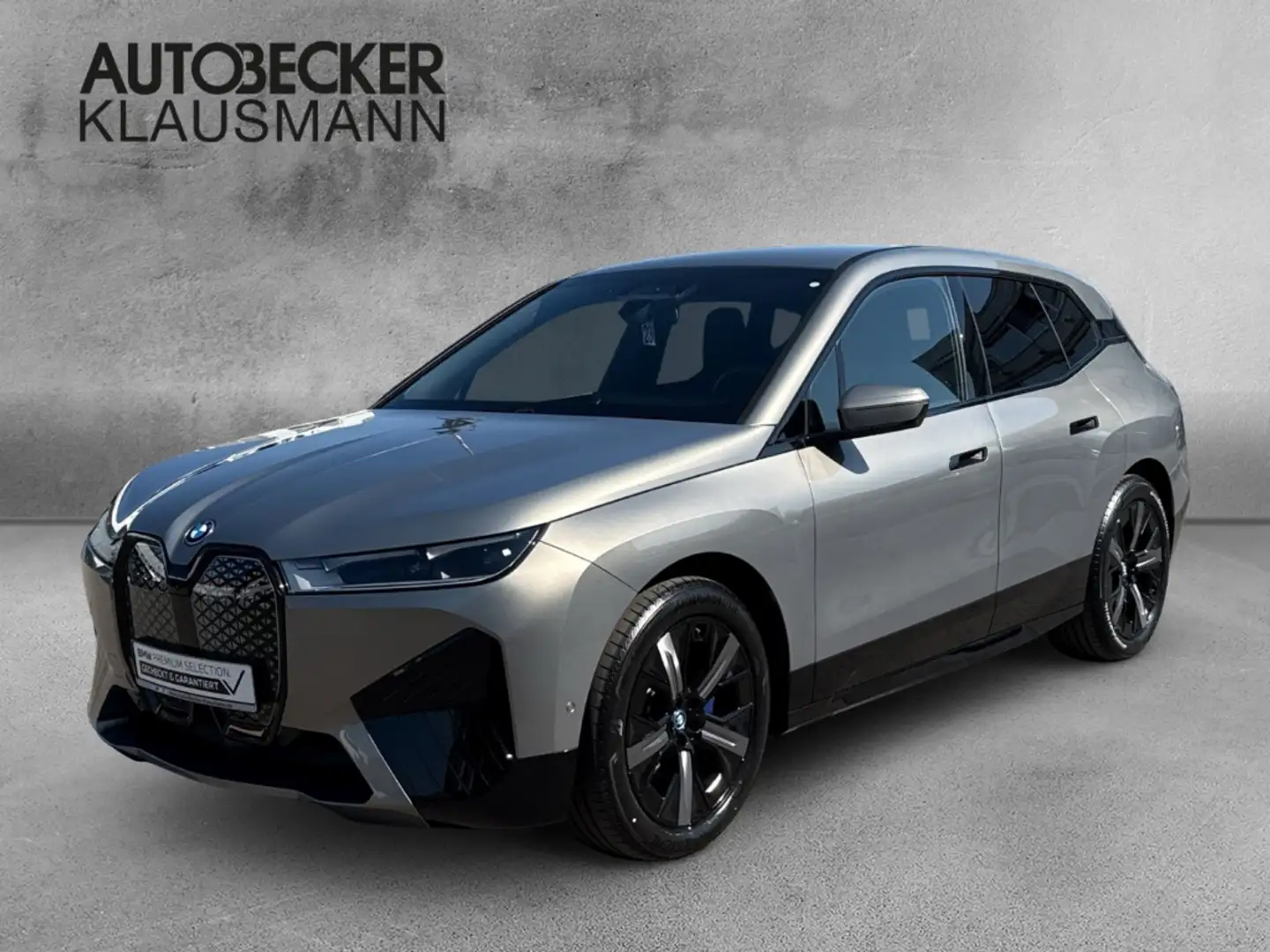 BMW iX xDRIVE 40 SPORTPAKET LC PROF NAVI KAMERA LED HARMA Grau - 1
