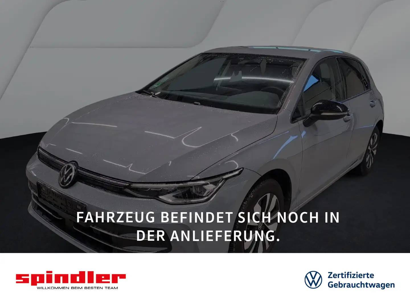 Volkswagen Golf VIII Goal 2.0TDI DSG / Navi, LED+, AHK, RFK Grau - 1