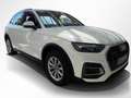 Audi Q5 40 TDI qu. S tronic HUD RFK Navi Weiß - thumbnail 9