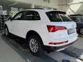 Audi Q5 40 TDI qu. S tronic HUD RFK Navi Weiß - thumbnail 2