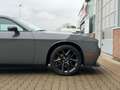 Dodge Challenger 3.6L SXT Grau - thumbnail 16