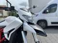 Ducati Hypermotard 821 Белый - thumbnail 15
