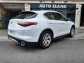 Alfa Romeo Stelvio 2.0  TURBO 16V AT8-Q4 Blanco - thumbnail 1
