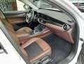 Alfa Romeo Stelvio 2.0  TURBO 16V AT8-Q4 Blanco - thumbnail 10