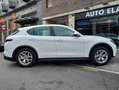 Alfa Romeo Stelvio 2.0  TURBO 16V AT8-Q4 Blanco - thumbnail 5