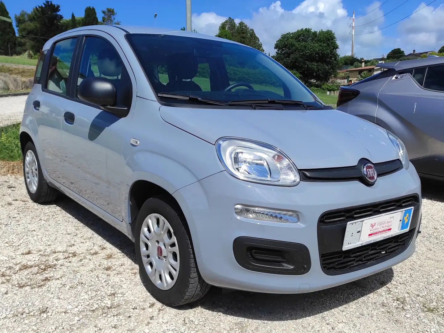 Fiat Panda Panda 1.2 Easy easypower Gpl 69cv Grigio - 1