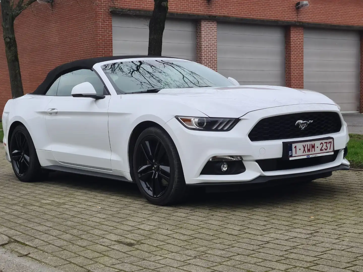 Ford Mustang Mustang Cabrio 2.3 Eco Boost Wit - 1