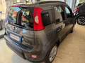 Fiat Panda Panda III  1.0 firefly hybrid Grigio - thumbnail 4