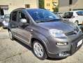 Fiat Panda Panda III  1.0 firefly hybrid Grigio - thumbnail 10