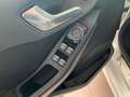 Ford Fiesta 1.0 EcoBoost 125CV S&S ST-Line Bianco - thumbnail 15