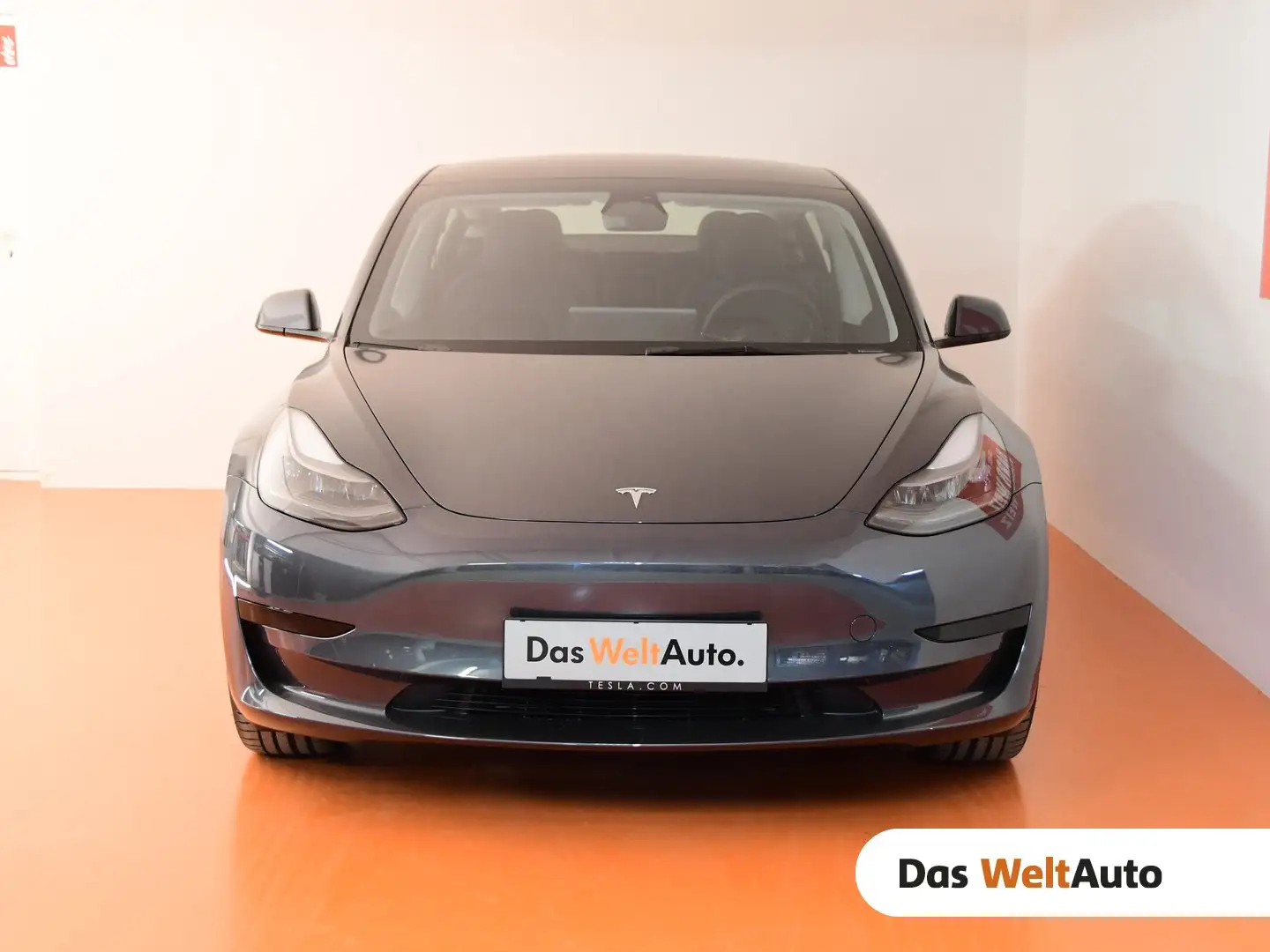 Tesla Model 3 Long Range AWD 75kWh Silber - 1
