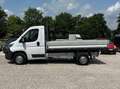 Fiat Ducato 35 2.3 MJET MH1 Cassone Wit - thumbnail 3