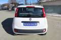Fiat Panda 1.2 Pop Bianco - thumbnail 6
