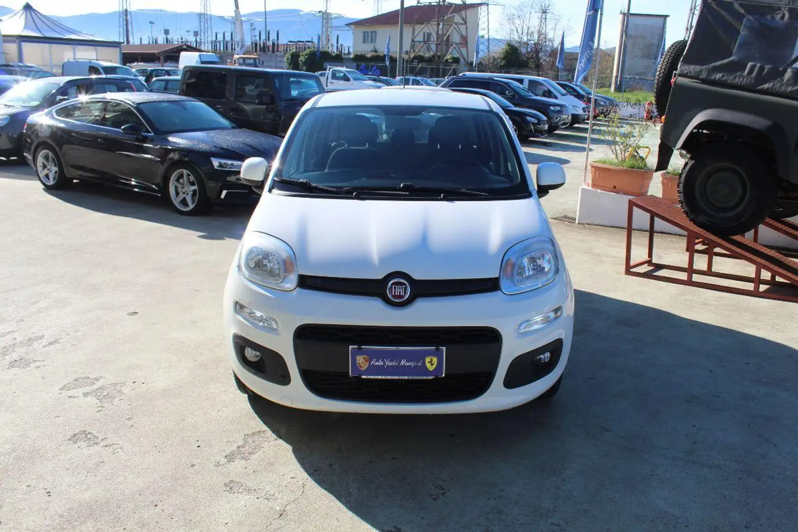 Fiat Panda 1.2 Pop Bianco - 2