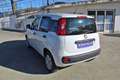 Fiat Panda 1.2 Pop Bianco - thumbnail 7