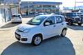 Fiat Panda 1.2 Pop Bianco - thumbnail 1