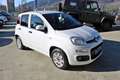 Fiat Panda 1.2 Pop Bianco - thumbnail 3