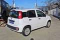 Fiat Panda 1.2 Pop Bianco - thumbnail 5