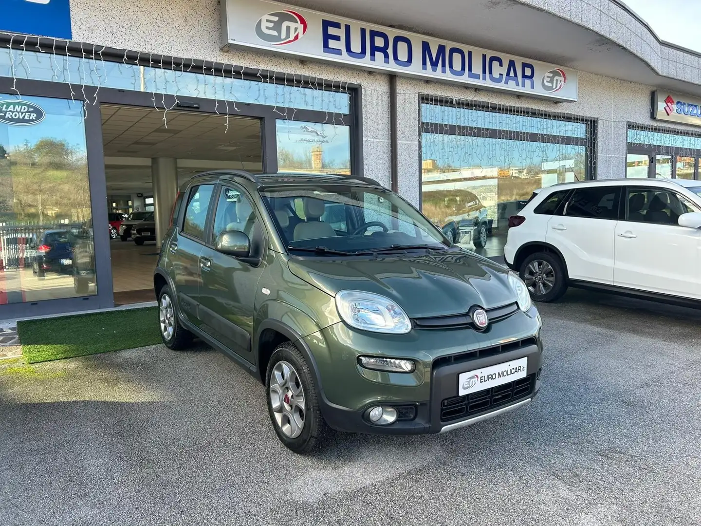 Fiat Panda 1.3 MJET 4x4 ELD Verde - 1