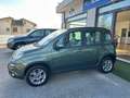 Fiat Panda 1.3 MJET 4x4 ELD Verde - thumbnail 8