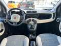 Fiat Panda 1.3 MJET 4x4 ELD Verde - thumbnail 11