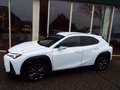 Lexus UX 250h F Sport First Edition NL AUTO-TREKHAAK-LEER-STUURV Wit - thumbnail 3